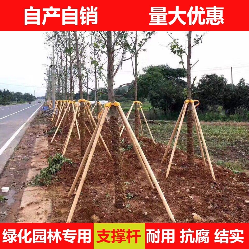 园林绿化支撑固定器杆稳定支架防风工程杉木松木杨木棍树木支撑架