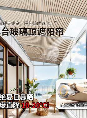阳光房遮阳顶帘蜂巢窗帘玻璃房阁楼斜顶全遮光防晒降温电动定制帘