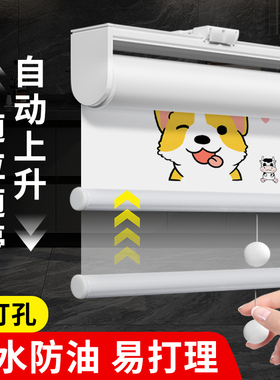 厨房窗帘卷帘印图弹簧帘遮光防晒升降卷拉式自动回弹卫生间浴室