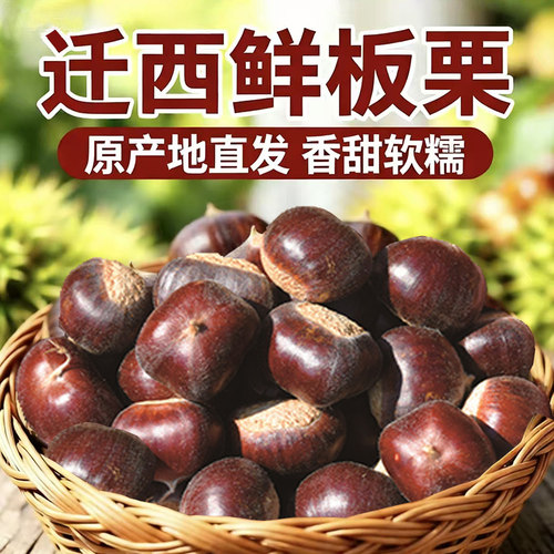 2025正宗迁西板栗生新鲜河北栗子大板栗唐山毛板栗燕山小油栗板粟