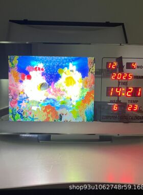 LED桌面摆件装饰灯小夜灯带万年历液晶显示仿真鱼海景灯现代家居