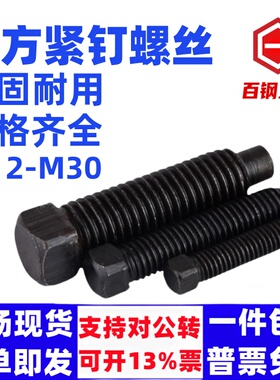 GB85方头紧定螺丝国标碳钢方头长圆柱螺钉凸尾方头螺丝M6M8M16M20