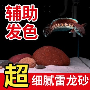 免洗雷龙造景沙青灰砂雨林梦幻紫砂化妆沙子铺底装饰鱼缸底部砂石