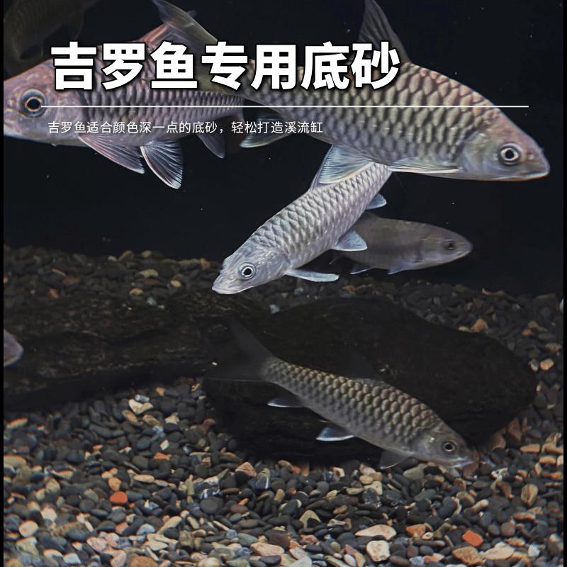 天然铁胆沙黑工砂水族鱼缸底砂