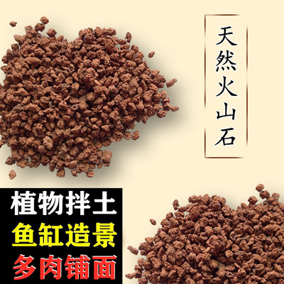 天然火山石多肉铺面石鱼缸造景石园艺造景小石子