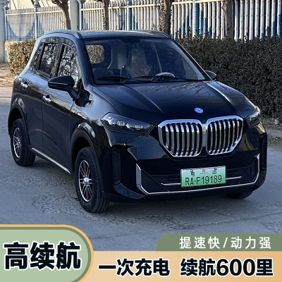 新能源电动汽车四轮车成人油电两用全封闭家用代步电瓶车轿车新款