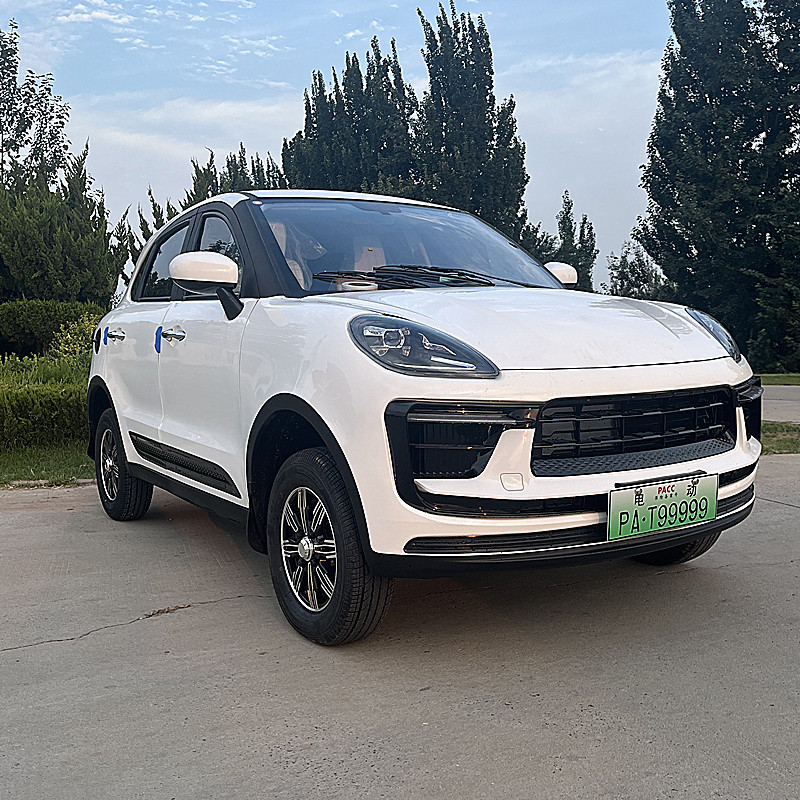 新款老代步电动四轮车家用油电两用女士成年人新能源汽车电瓶轿车