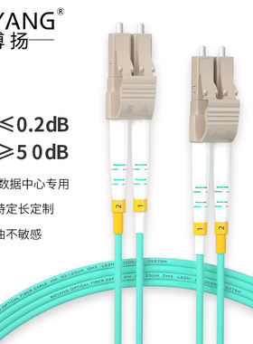 博扬（BOYANG）万兆多模光纤跳线LC-LC 2米 OM3-300双芯尾纤低烟