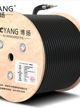 博扬（BOYANG）BY-GYTS-96B1.3 铠装96芯单模室外光缆GYTS层绞式