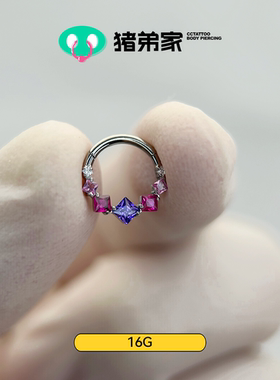 CC猪弟家 16G 紫藤环 DAITH 高抛光钛合金耳环耳骨环耳圈鼻中隔环