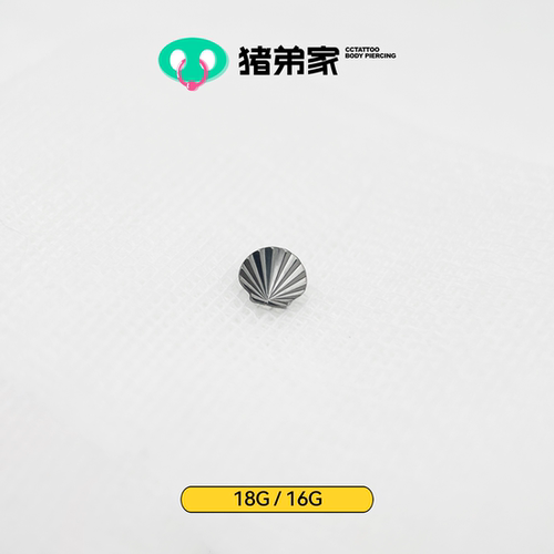 小贝壳高抛光钛合金耳钉