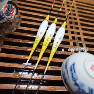 D系列 高亮硬尾纳米电子漂 425新品 加送5枚电子 天道竞技