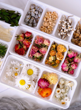花草日志干花花材自然风干色彩好