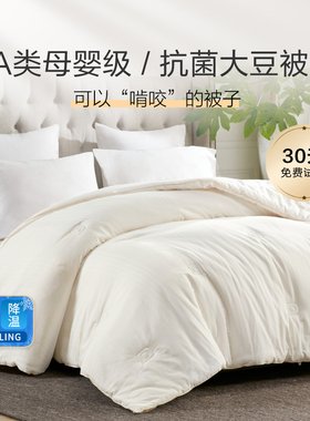 【百亿】Harbor House大豆纤维加厚保暖A类母婴云朵被四季冬被子