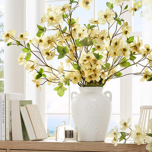 【直播专属】HarborHouse美式居家Ryan花瓶和仿真花四照花搭配购