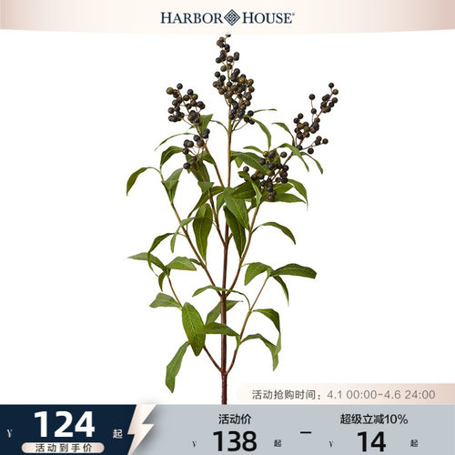 HarborHouse野生美式装饰仿真花