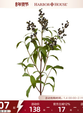 Harbor House 仿真野生果实 美式饰品 装饰果实 仿真花 假花