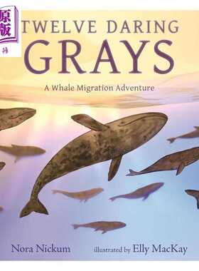 进口原版 *十二头勇敢的灰鲸 一场鲸鱼迁徙冒险 Twelve Daring Grays A Whale Migration Adventure 英文原版 绘本   Candlewick P