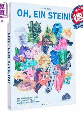 进口原版 *【德文版】德语绘本 噢 石头 Felix Bork绘 科普幽默绘本 Oh ein Stein 德语原版 岩石矿物百科   Eichborn