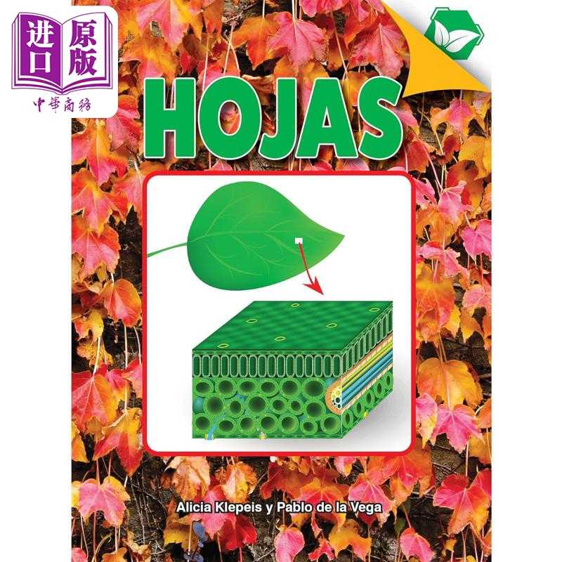 进口原版 *Spanish Science Readers Hojas Grade 2-4 西班牙语原版少儿科普读物 绿叶 Un acercamiento a las plan   Rourke