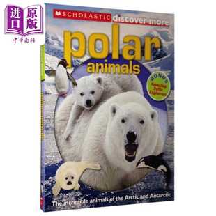 进口原版 *学乐大发现 极地动物 Scholastic Discover More POLAR ANIMALS 英文原版 儿童科普绘本 动物知识百科图 Scholastic M