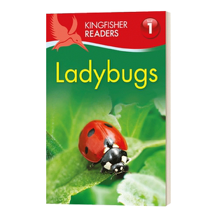 进口原版 Kingfisher Readers L1 Ladybugs翠鸟分级读物系列L1 英文版 进口英语原版书籍 英文原版 Feldman, Thea   Kingfisher
