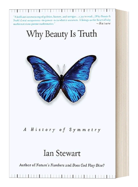 进口原版 Why Beauty Is Truth 对称的历史 伊恩·斯图尔特 英文版 英文原版 生命科学 Ian Stewart   Basic