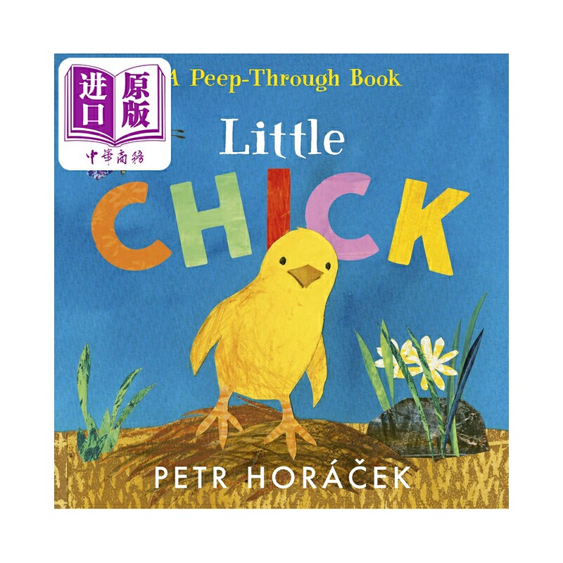 进口原版 *镂空书 小鸡 Petr Horácek Little Chick 英文原版进口 低幼儿童纸板书 亲子绘本 故事图画书 进口童书2   Walker UK