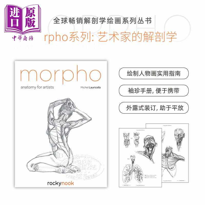 进口原版 *【Morpho人体绘画系列】Morpho: Anatomy for Artists 进口艺术 形态：艺术家解剖学 人体结构绘画技巧素   Rocky Nook