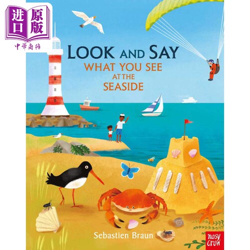 进口原版 *Look and Say What You See at the Seaside你在海边看到什么？英文原版 进口图书 儿童科普绘本百科知识   Nosy Crow
