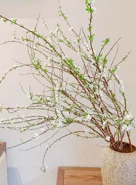 雪柳小手球鲜切枝上海鲜花速递造型家用瓶插花艺江浙沪皖两扎包邮