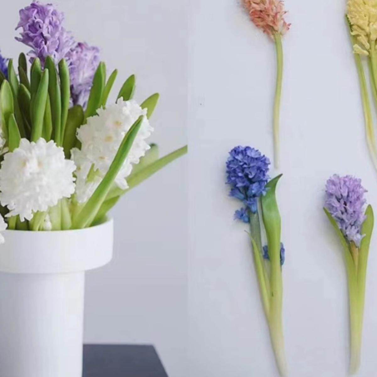风信子鲜切花上海同城鲜花速递家用瓶插花花艺江浙沪皖两扎包邮,鲜花速递/花卉仿真/绿植园艺,花材,淘宝优惠券,粉丝福利购,淘宝优惠卷