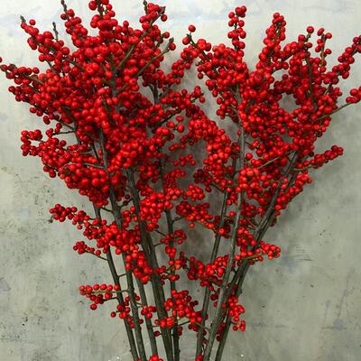 北美冬青发财果鲜切枝上海鲜花速递家用瓶插花艺祝福春节年宵祝福