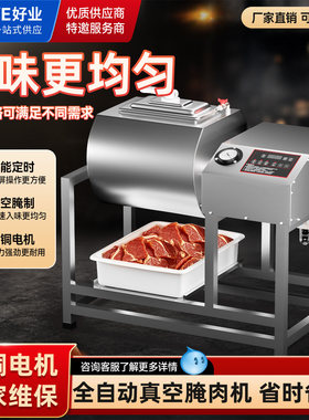 真空腌制机商用小型双向