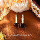 原创个性 耳饰流行百搭仿水晶耳环AE484 2025新款 INS
