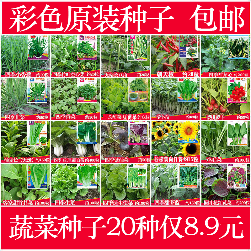 首单礼金】四季蔬菜种子生菜青菜套餐20包-第1张图片-提都小院