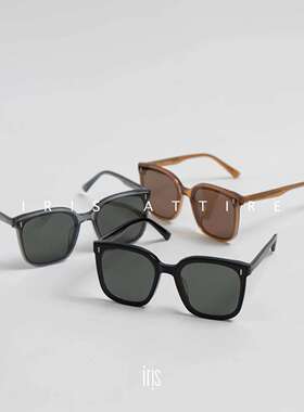 Annie Nie大框显脸小墨镜板材墨镜太阳镜女Frida