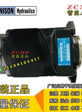 双联油泵T6DC-020/024/028/031-008/012/014-1R00-A1/B1/C1/D1/B5