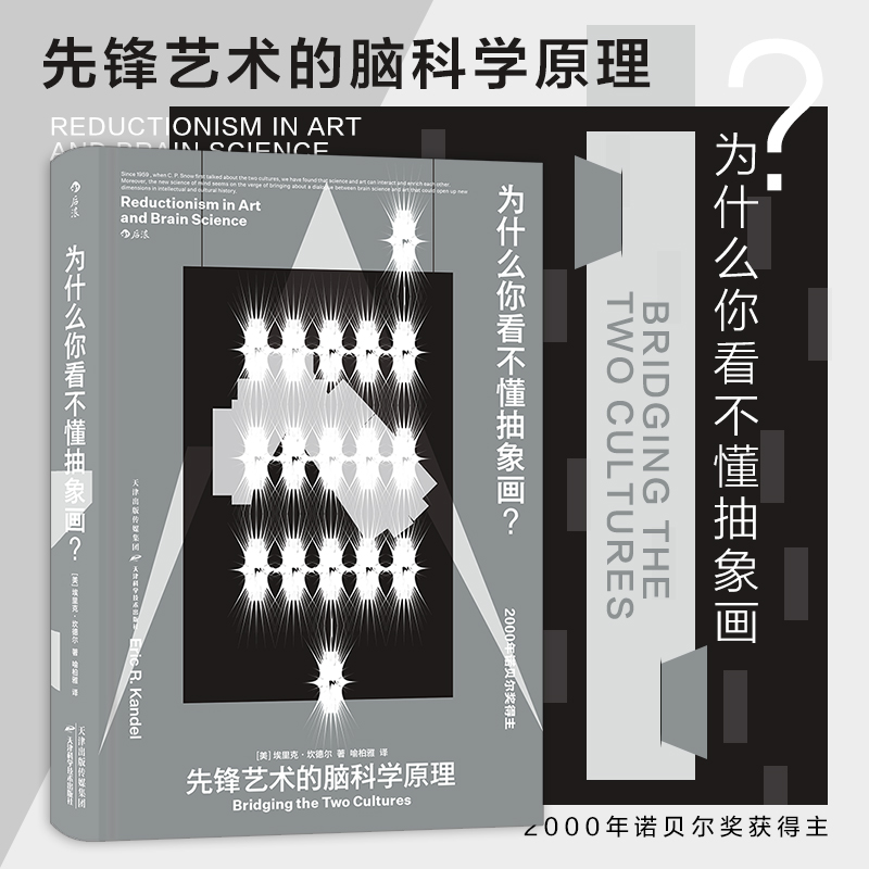 后浪正版现货为什么你看不懂抽象画智慧宫丛书神经心理机制脑科学抽象艺术绘画研究书籍