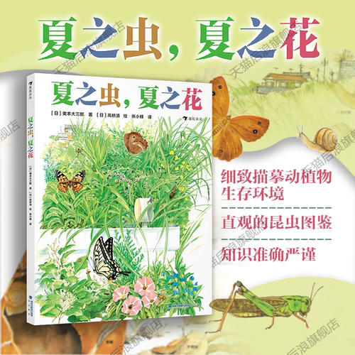 浪花朵朵夏之虫，夏之花