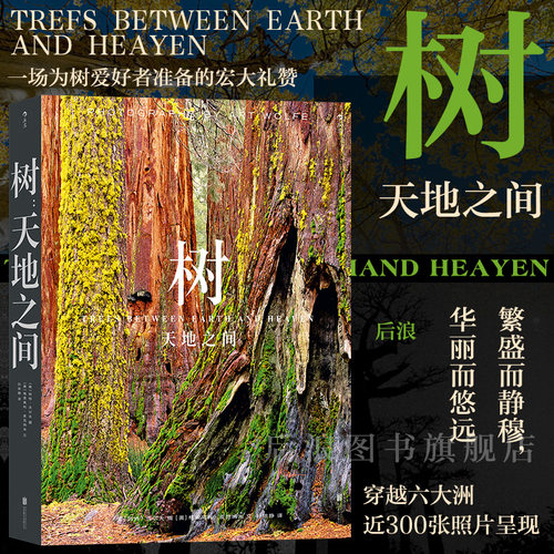 后浪艺术树天地之间自然画册