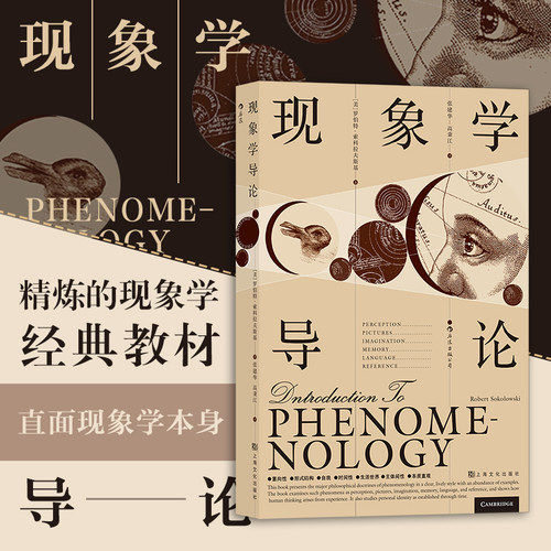 清晰的文风和例证呈现现象学领域的主要学说