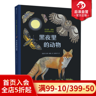 动物 黑夜里 浪花朵朵大开本插画插图儿童动物百科生物科普画册书籍 包邮 后浪正版