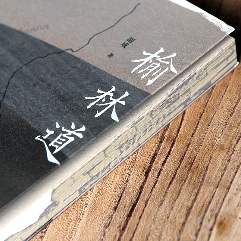 【限量特别版】后浪正版 榆林道 单向街文学奖年度旅行写作 胡成著 陕西历史文化怀旧随笔散文 纪实报告文学书籍