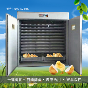 5280枚全自动机鸭蛋孵化器土鸡火鸡孔雀的孵蛋器中小型孵化设备