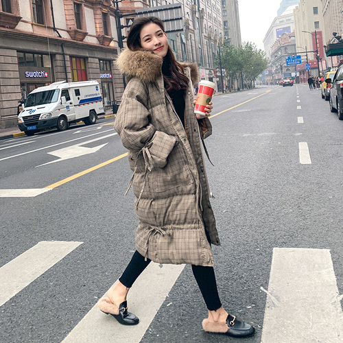 浙宝310A ZB310AM186