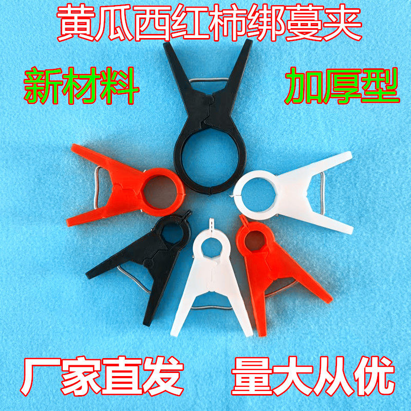 抗氧化蓝莓夹子黄瓜西红柿吊秧夹