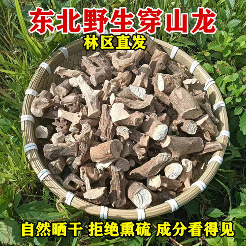 黑龙江东北野生中药材正宗干货
