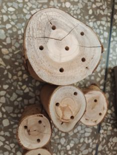 蜜袋鼯树桩摆件带皮木墩子桉树枝玩具笼子造景带孔插座蜜袋鼠攀爬