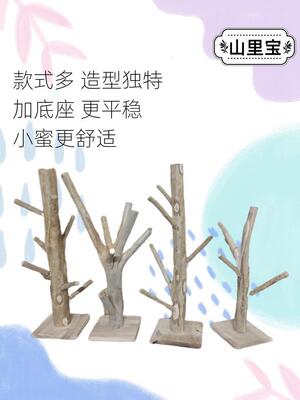 宠物玩具树枝蜜袋鼯桉树叶山里宝